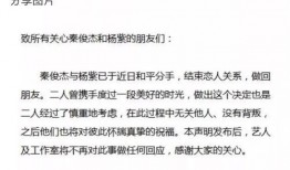 娱乐圈吃瓜公众号叫什么,揭秘那些鲜为人知的幕后故事