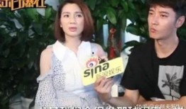 陈妍剧院爆料事件视频完整版,完整版视频揭露惊人内幕